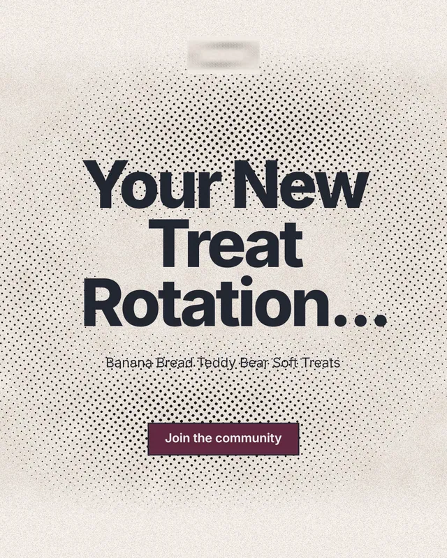 Instagram portrait post for By Teddy: "Your New Treat Rotation..." Ink sticker style, centred layout, light palette in white, orange, grey.