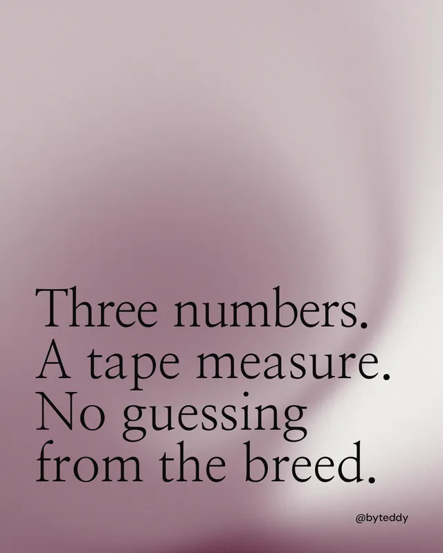Instagram portrait post for By Teddy: "Three numbers. A tape measure. No guessing from the breed." Auto 4x5 style, technique:shader field layout, light palette in grey, white.