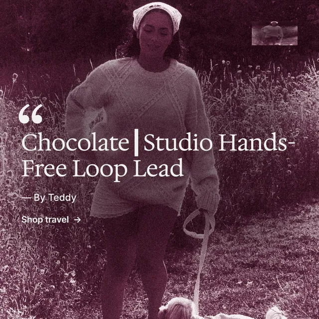 Instagram post for By Teddy: "Chocolate┃Studio Hands-Free Loop Lead". Film still style, quote layout, dark palette in pink, red, grey.
