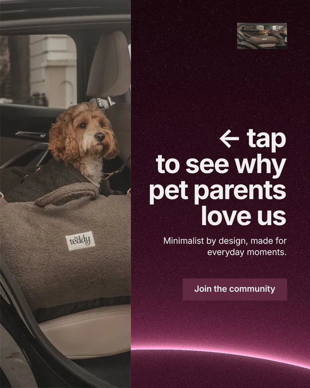 Instagram portrait post for By Teddy: "← tap to see why pet parents love us". Swiss style, right layout, dark palette in grey, black, pink.