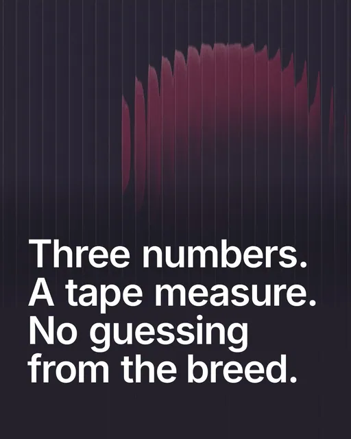 Video for By Teddy: "Three numbers. A tape measure. No guessing from the breed.". Shader loop, 6.0 s, dark palette.