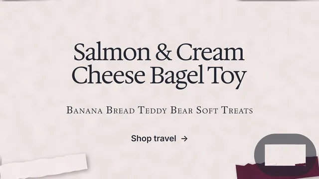 Landscape graphic for By Teddy: "Salmon & Cream Cheese Bagel Toy". Swiss style, smallcaps layout, light palette in red, white, grey.