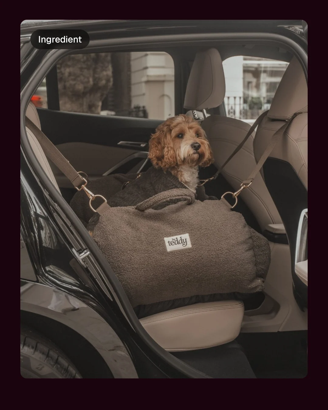 Video for By Teddy: "← tap to see why pet parents love us". Before after wipe, 6.0 s, dark palette.
