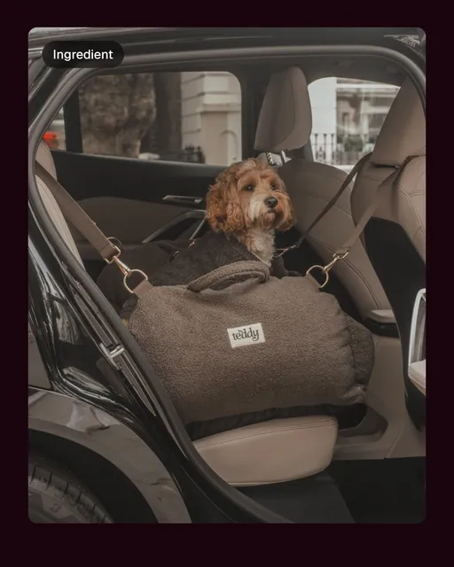 Video for By Teddy: "← tap to see why pet parents love us". Before after wipe, 6.0 s, dark palette.