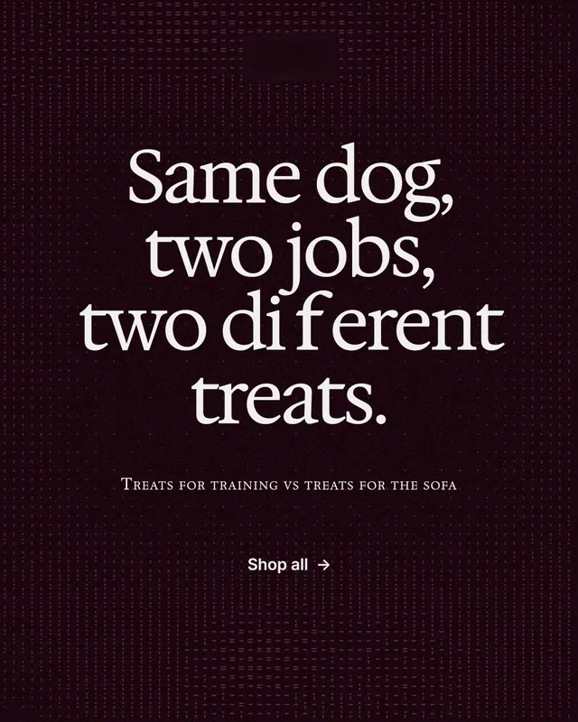 Instagram portrait post for By Teddy: "Same dog, two jobs, two different treats." Swiss style, smallcaps layout, dark palette in black.