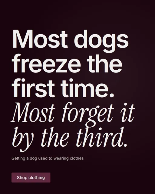 Video for By Teddy: "Most dogs freeze the first time. Most forget it by the third.". Doc motion loop, 6.0 s, dark palette.