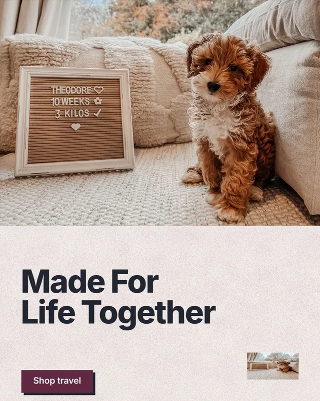 Instagram portrait post for By Teddy: "Made For Life Together". Paper trio style, bottom layout, light palette in grey, brown, orange.