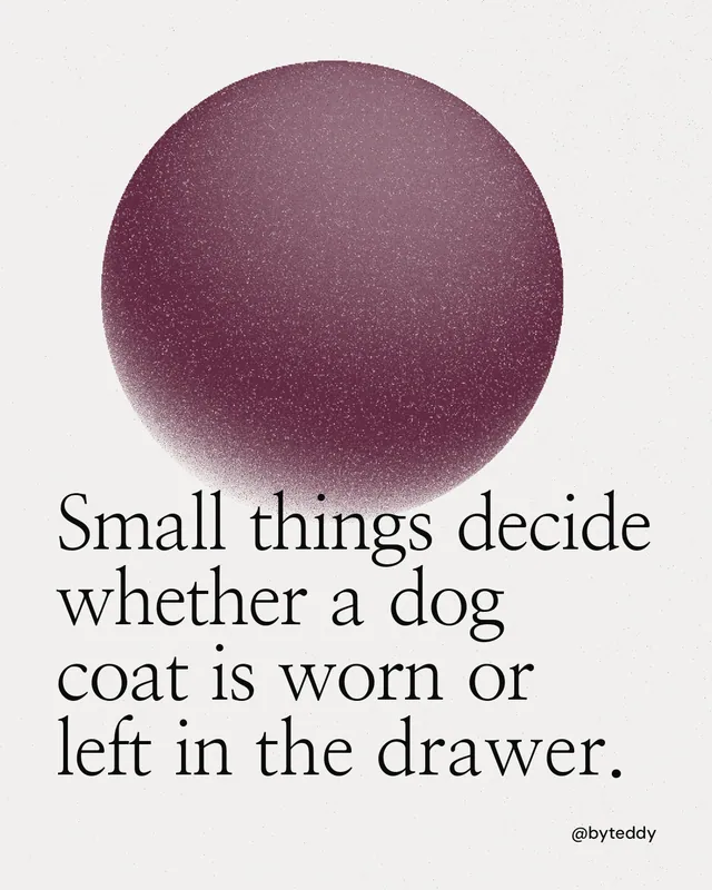 Instagram portrait post for By Teddy: "Small things decide whether a dog coat is worn or left in the drawer." Auto 4x5 style, technique:shader field layout, light palette in white, red, grey.