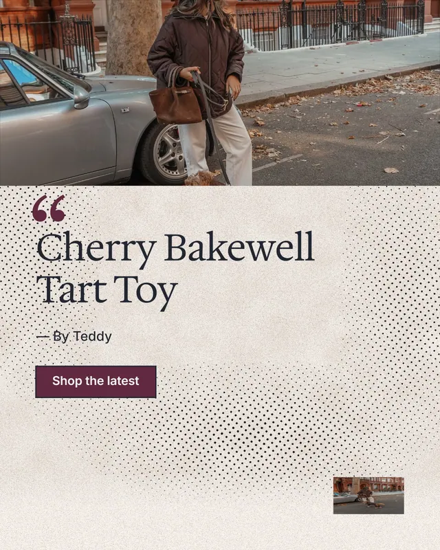 Instagram portrait post for By Teddy: "Cherry Bakewell Tart Toy". Ink sticker style, quote layout, light palette in grey, white, orange.