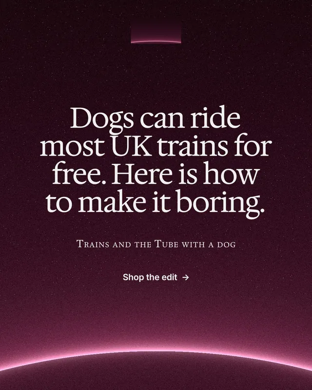 Instagram portrait post for By Teddy: "Dogs can ride most UK trains for free. Here is how to make it boring." Swiss style, smallcaps layout, dark palette in pink, black.