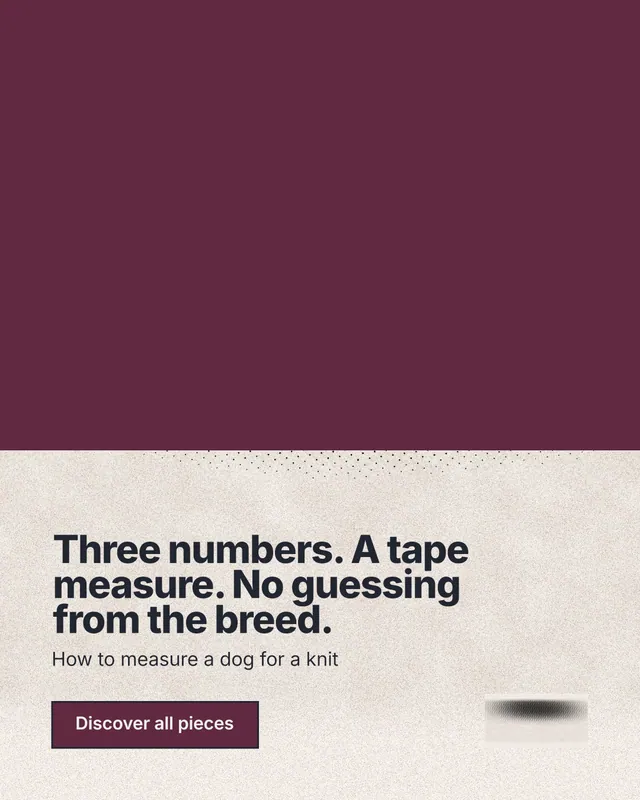 Instagram portrait post for By Teddy: "Three numbers. A tape measure. No guessing from the breed." Ink sticker style, bottom layout, light palette in red, orange.