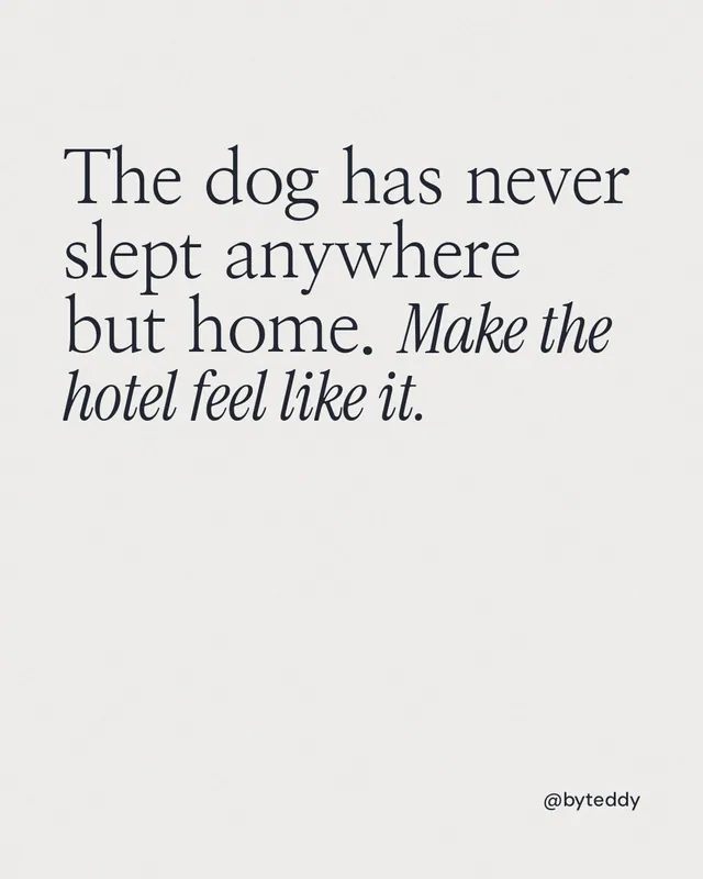 Instagram portrait post for By Teddy: "The dog has never slept anywhere but home. Make the hotel feel like it." Editorial style, technique:mixed type lockup layout, light palette in white.