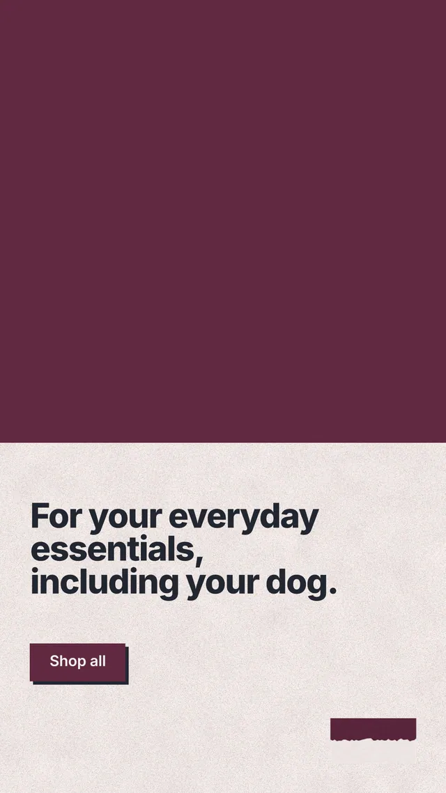 Instagram story for By Teddy: "For your everyday essentials, including your dog." Paper trio style, bottom layout, light palette in red, orange.