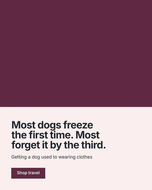Instagram portrait post for By Teddy: "Most dogs freeze the first time. Most forget it by the third." Swiss style, bottom layout, light palette in red, white, grey.