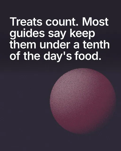 Video for By Teddy: "Treats count. Most guides say keep them under a tenth of the day's food.". Shader loop, 6.0 s, dark palette.