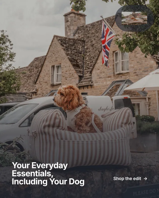 Instagram portrait post for By Teddy: "Your Everyday Essentials, Including Your Dog". Swiss style, image led layout, dark palette in grey, black.