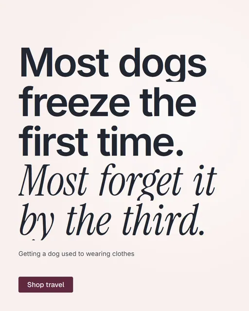 Video for By Teddy: "Most dogs freeze the first time. Most forget it by the third.". Doc motion loop, 7.0 s, light palette.