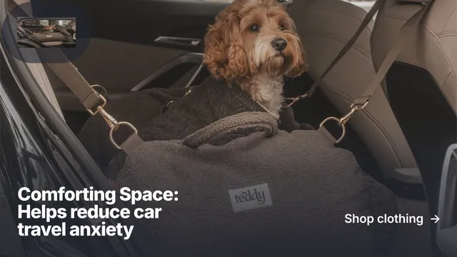 Landscape graphic for By Teddy: "Comforting Space: Helps reduce car travel anxiety". Paper trio style, image led layout, dark palette in black, grey.
