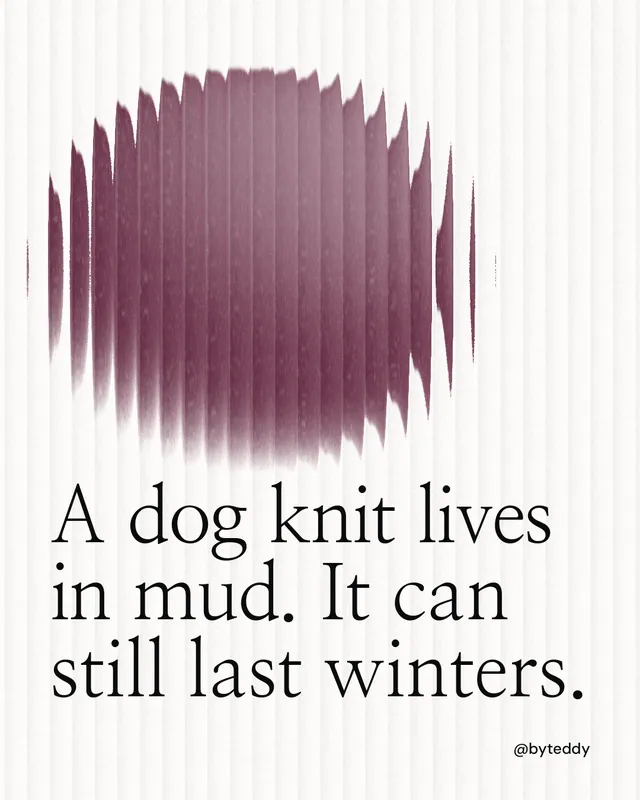 Instagram portrait post for By Teddy: "A dog knit lives in mud. It can still last winters." Auto 4x5 style, technique:shader field layout, light palette in white, red.