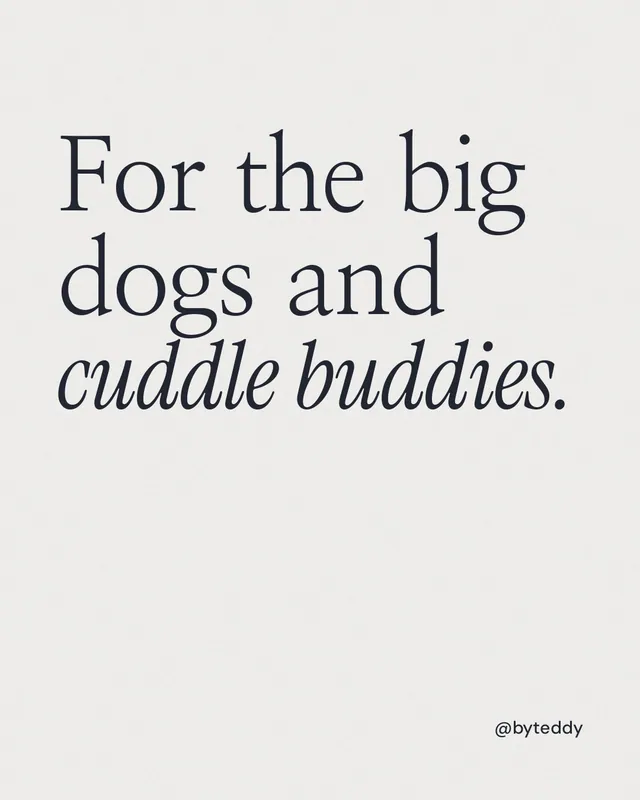Instagram portrait post for By Teddy: "For the big dogs and cuddle buddies." Editorial style, technique:mixed type lockup layout, light palette in white.