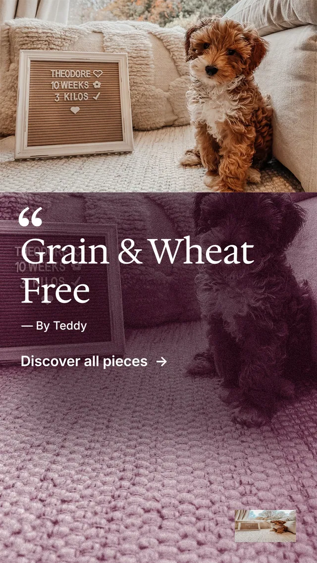 Instagram story for By Teddy: "Grain & Wheat Free". Film still style, quote layout, dark palette in red, grey.