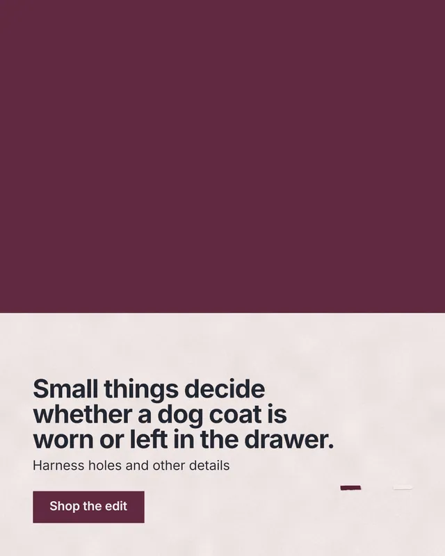 Instagram portrait post for By Teddy: "Small things decide whether a dog coat is worn or left in the drawer." Swiss style, bottom layout, light palette in red, orange, grey.
