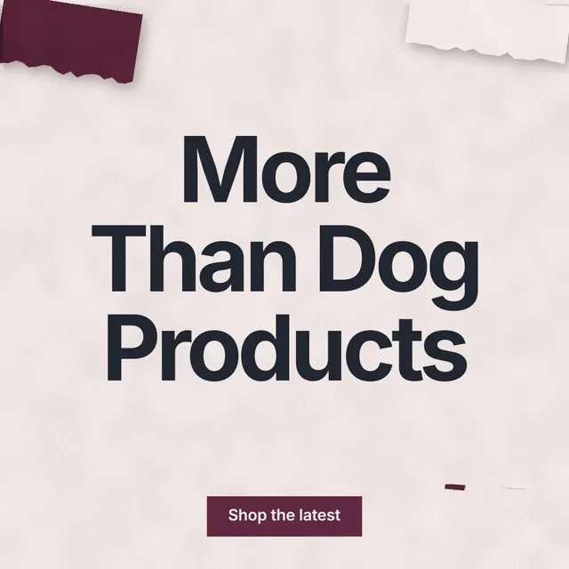 Instagram post for By Teddy: "More Than Dog Products". Swiss style, centred layout, light palette in red, grey, white.