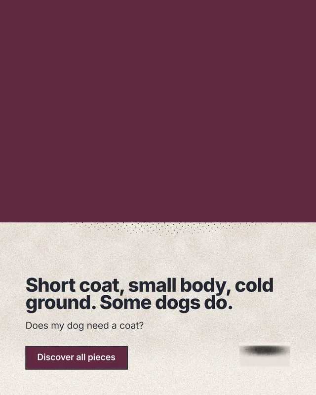 Instagram portrait post for By Teddy: "Short coat, small body, cold ground. Some dogs do." Ink sticker style, bottom layout, light palette in red, orange.