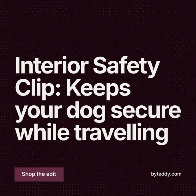 Instagram post for By Teddy: "Interior Safety Clip: Keeps your dog secure while travelling". Swiss style, poster layout, dark palette in black, grey.