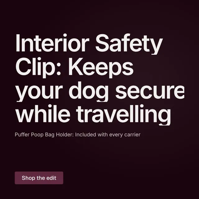 Video for By Teddy: "Interior Safety Clip: Keeps your dog secure while travelling". Kinetic type grid, 8.0 s, dark palette.