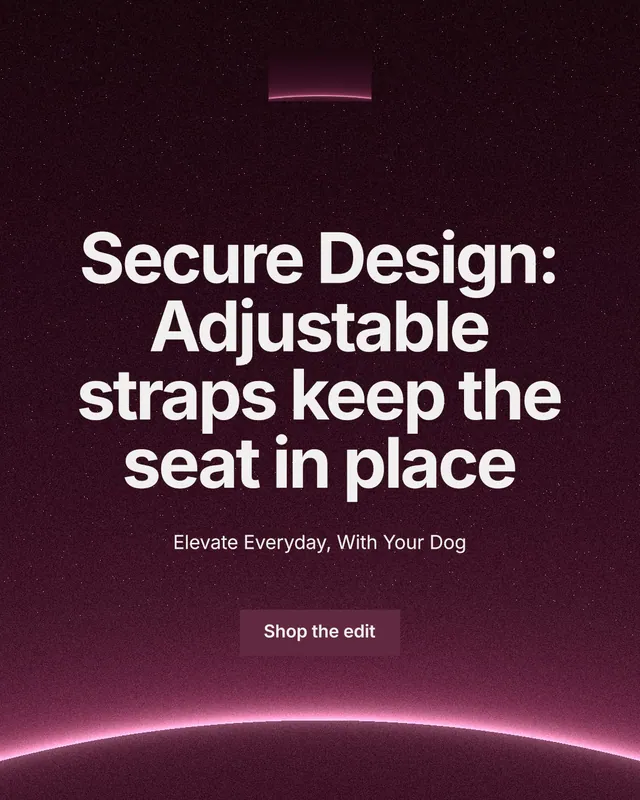 Instagram portrait post for By Teddy: "Secure Design: Adjustable straps keep the seat in place". Swiss style, centred layout, dark palette in pink, black, grey.