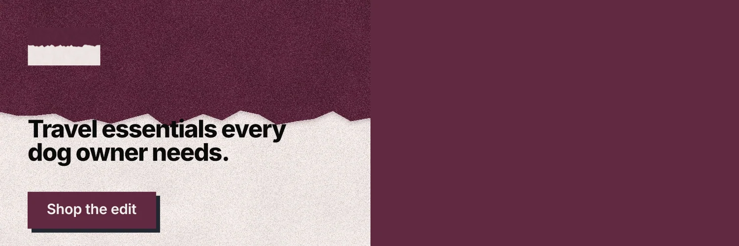 X header for By Teddy: "Travel essentials every dog owner needs." Paper trio style, bottom layout, dark palette in red, pink, grey.