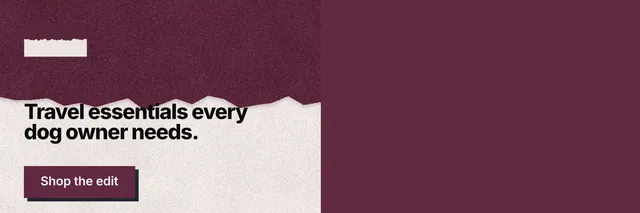 X header for By Teddy: "Travel essentials every dog owner needs." Paper trio style, bottom layout, dark palette in red, pink, grey.