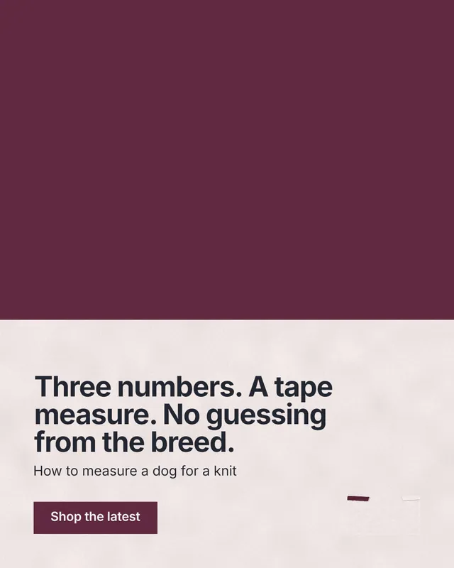 Instagram portrait post for By Teddy: "Three numbers. A tape measure. No guessing from the breed." Swiss style, bottom layout, light palette in red, grey.