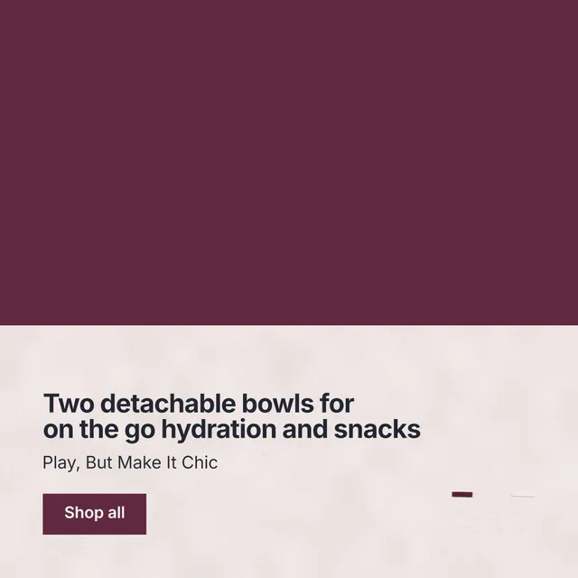 Instagram post for By Teddy: "Two detachable bowls for on the go hydration and snacks". Swiss style, bottom layout, light palette in red.