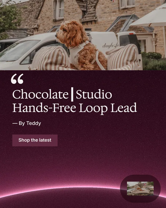 Instagram portrait post for By Teddy: "Chocolate┃Studio Hands-Free Loop Lead". Swiss style, quote layout, dark palette in grey, black, red.
