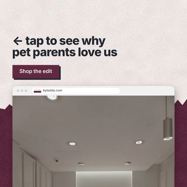 Instagram post for By Teddy: "← tap to see why pet parents love us". Paper trio style, browser layout, light palette in grey, orange.
