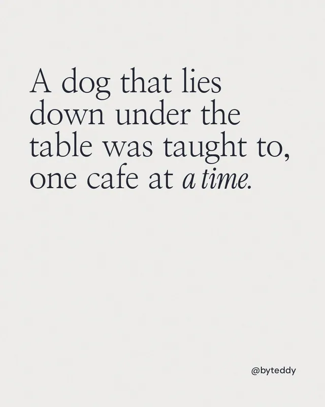 Instagram portrait post for By Teddy: "A dog that lies down under the table was taught to, one cafe at a time." Editorial style, technique:mixed type lockup layout, light palette in white.