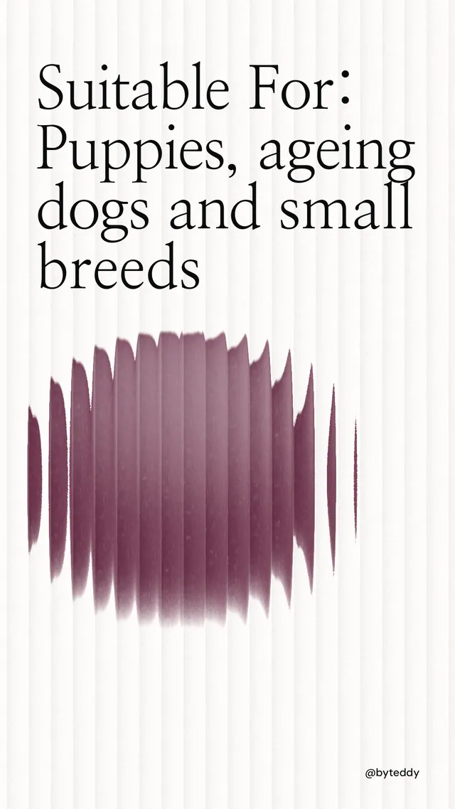 Instagram story for By Teddy: "Suitable For: Puppies, ageing dogs and small breeds". Auto 9x16 style, technique:shader field layout, light palette in white, grey.