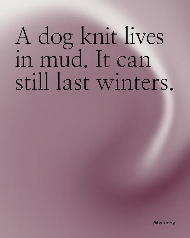 Instagram portrait post for By Teddy: "A dog knit lives in mud. It can still last winters." Auto 4x5 style, technique:shader field layout, light palette in grey, red.
