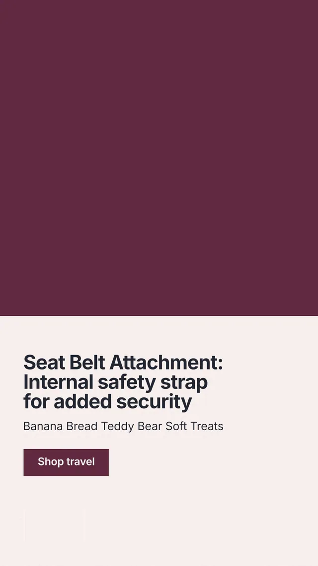 Instagram story for By Teddy: "Seat Belt Attachment: Internal safety strap for added security". Swiss style, bottom layout, light palette in red, white.