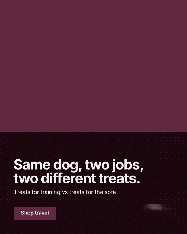Instagram portrait post for By Teddy: "Same dog, two jobs, two different treats." Swiss style, bottom layout, dark palette in red, black.