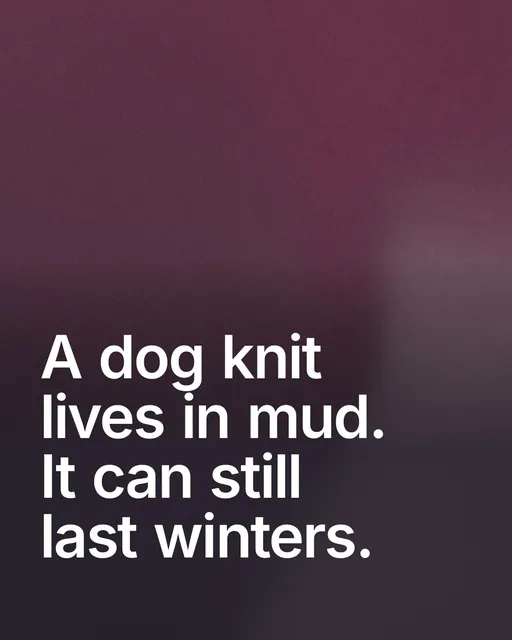 Video for By Teddy: "A dog knit lives in mud. It can still last winters.". Shader loop, 6.0 s, dark palette.