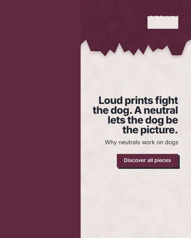 Instagram portrait post for By Teddy: "Loud prints fight the dog. A neutral lets the dog be the picture." Paper trio style, right layout, light palette in red, orange, pink.