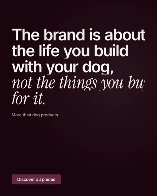 Video for By Teddy: "The brand is about the life you build with your dog, not the things you buy for it.". Doc motion loop, 8.0 s, dark palette.