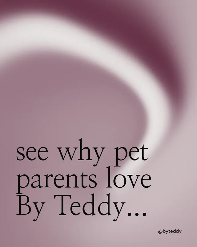 Instagram portrait post for By Teddy: "see why pet parents love By Teddy..." Auto 4x5 style, technique:shader field layout, light palette in grey, white.