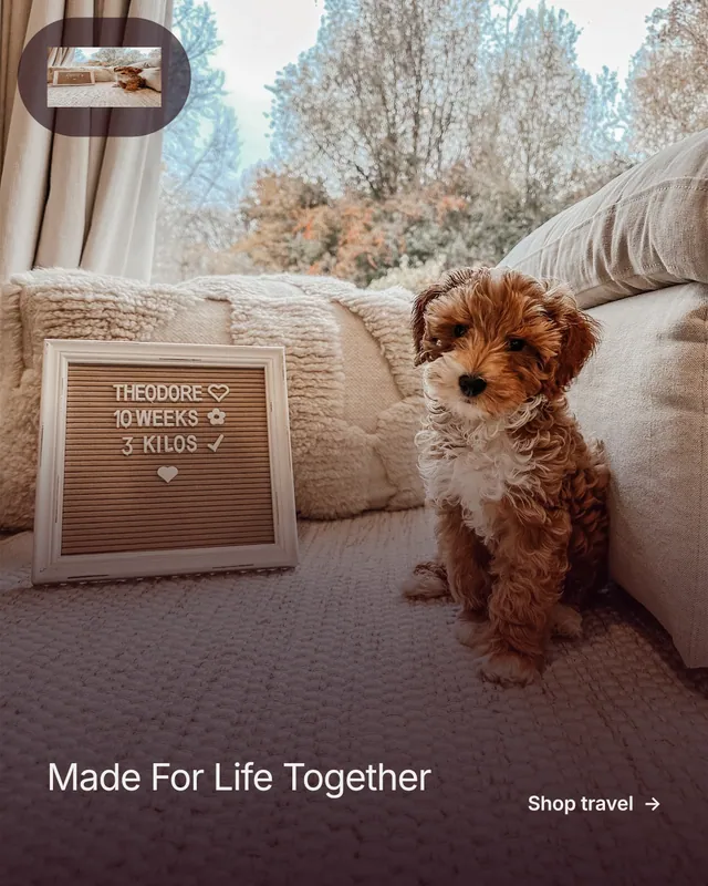 Instagram portrait post for By Teddy: "Made For Life Together". Film still style, image led layout, light palette in grey, red, white.