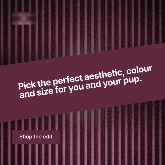 Instagram post for By Teddy: "Pick the perfect aesthetic, colour and size for you and your pup." Swiss style, diagonal layout, dark palette in red, black, pink.