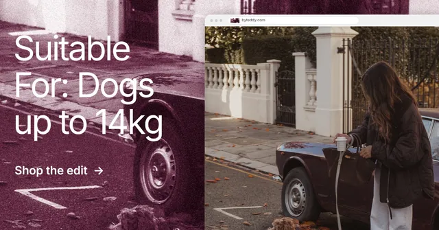 Social ad for By Teddy: "Suitable For: Dogs up to 14kg". Film still style, browser layout, dark palette in red, grey, white.