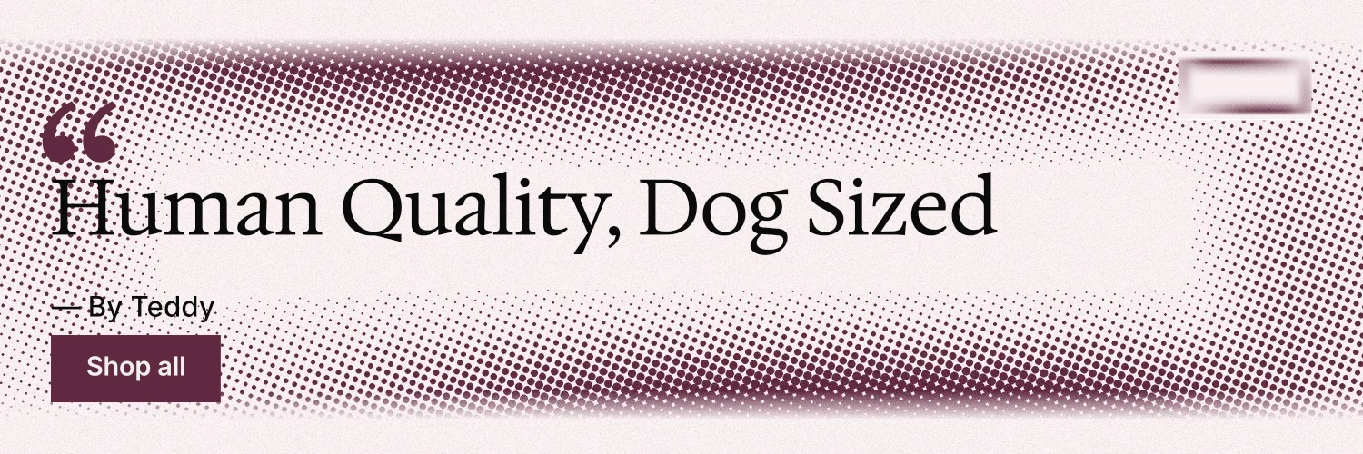 X header for By Teddy: "Human Quality, Dog Sized". Swiss style, quote layout, light palette in grey, white, red.
